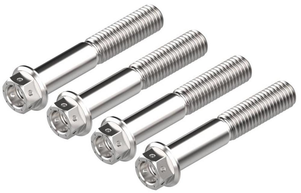 Bremssattelschraubenset Race - Edelstahl von Evotech Performance 4 Stk. -